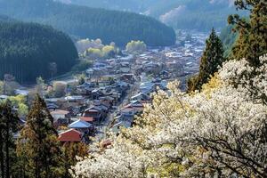 A picturesque view of the historic village of Shirakawa-go in Japan, known for its traditional gassho-zukuri farmhouses, surrounded by lush greenery and stunning mountainous landscapes. photo