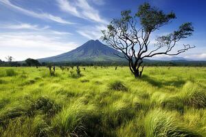 A stunning view of Mount Bromo, an active volcano, surrounded by a vast meadow on Java Island, Indonesia, with smoke rising from the crater and the expansive landscape stretching in the background photo