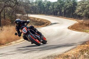 Motorcyclist speeding through a winding road in a dense forest, capturing the thrill of extreme sport and adventure photo
