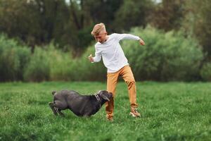 A boy playing with a dog in a field photo
