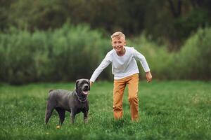 A boy is playing with a dog in a field photo