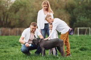 A family with a dog in the grass photo