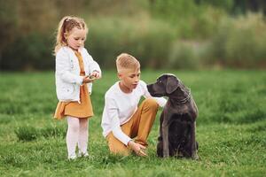 Two children are playing with a dog in a field photo