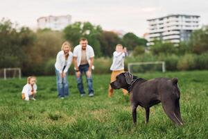A family playing with a dog in a field photo
