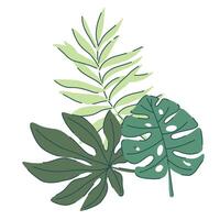 tropical green leaves set. monstera, palm, fern, ivy in various shapes and sizes. simple flat style. illustration. Perfect for prints, packaging, invitations, branding, backgrounds, textile vector