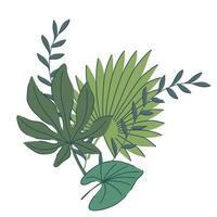 tropical green leaves set. monstera, palm, fern, ivy in various shapes and sizes. simple flat style. illustration. Perfect for prints, packaging, invitations, branding, backgrounds, textile vector
