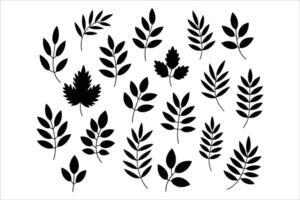 Leaf Silhouette Set. Botanical and Nature Elements vector