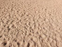 Beach sand texture, empty sand background. photo