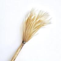 A white brush with a long feather on it photo
