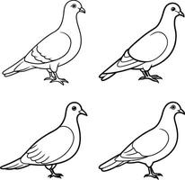 Bird Outline Sketch Line Art Drawing Collection of Various Birds vector