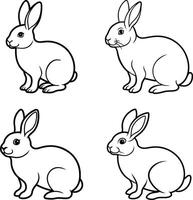 Bunny Outline Art Set Rabbit Line Drawing Collection vector