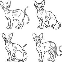 Feline Line Drawing Collection Adorable Cat Outline Set vector