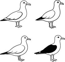 Bird Art Outline Pack Line Drawing Collection of Birds vector