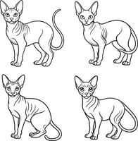 Cute Feline Drawing Collection Cat Outline Art Set vector