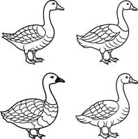 Bird line drawing sheet bundle vector