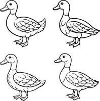 Assortment of bird line drawing color sheets vector