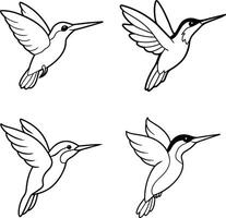 Bird Illustration Line Art Outline Drawing Set of Various Birds vector