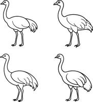 Bird Outline Sketch Set Line Art Collection of Birds vector