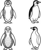 Compilation of bird line drawing color sheets vector