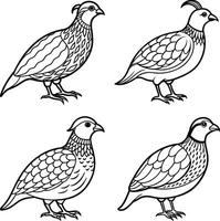 Compilation of bird line art designs vector