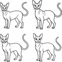 Cat Outline Illustration Collection Feline Drawing Set vector