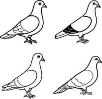 Outline Bird Sketch Pack Line Drawing Collection of Birds vector