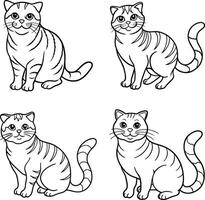 Cat Outline Set Feline Line Drawing Collection vector