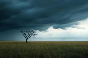 Dark storm clouds gather over a lonely tree in an open field at dusk photo