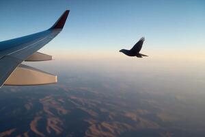Bird flying near airplane wing against backdrop of mountains during daylight hours photo