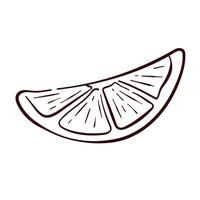Lemon slice in line art style. Simple hand drawn citrus fruit illustration for botanical, menu, package, culinary and decorative design. Isolated on a white background. vector