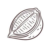 Half of lemon in line art style. Vitamin ingredient design for fruit store, package and cafe menu isolated on a white background. vector