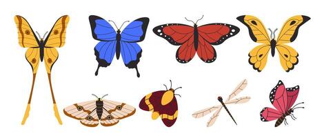 Flat style illustration of various butterflies, moths, and insects in different colors and patterns, ideal for nature-inspired designs, decorative projects, and educational materials. vector