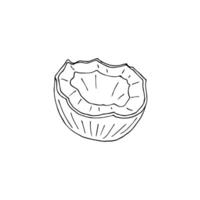 Hand drawn doodle sketch half cut coconuts isolated on white background vector