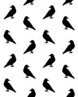 Seamless pattern of hand drawn doodle sketch raven vector