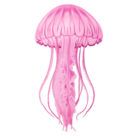 A pink jellyfish with long tentacles on a transparent background png
