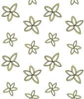 Seamless pattern of hand drawn doodle sketch coconut flower isolated on white background vector