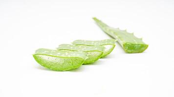 Fresh Cuts of Aloe Vera Leaf on White Background photo