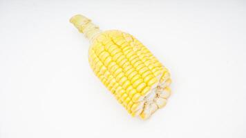 Bottom Cut of Corn with Pedicel and Showing Cob on White Background photo