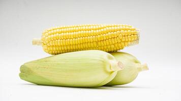 Two Ears of Corn and A Corn Cob with Fresh Kernels on White Background photo