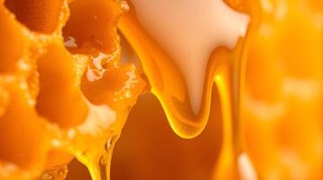 Close up of honeycomb with honey dripping from it photo