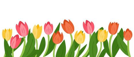 Floral illustration of colorful tulips in a flat style isolated on a white background, creating a spring mood vector