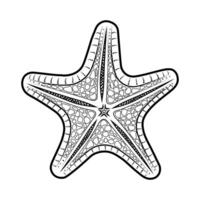 Sketch of a starfish in the contour. Doodle, black and white image. vector
