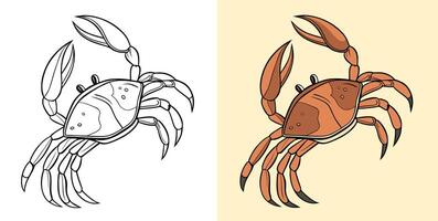 A crab illustration in two styles, an outline version and a colored version, showing detail and simplicity. vector
