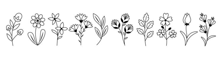 Set of black and white linear botanical illustrations of flowers and plants. Various Wildflowers and Leaves. For Coloring Pages, Botanical Designs, Wedding Invitations, Spring Nature-Themed Projects vector
