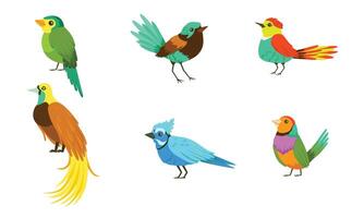 Set With Different Birds With Bright Colorful Plumage Illustration Cartoon Character vector