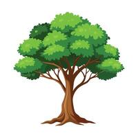 a flat illustration of a tree with green leaves. with a white background vector