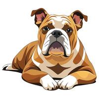 An illustration of a bulldog dog vector