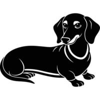 A black and white dachshund dog on a white background vector
