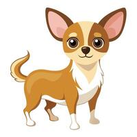 A cartoon chihuahua dog standing on a white background vector