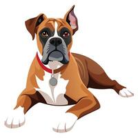 A boxer dog is sitting down on a white background vector